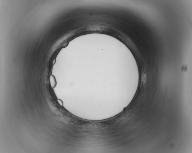 X0000110900724200907161550