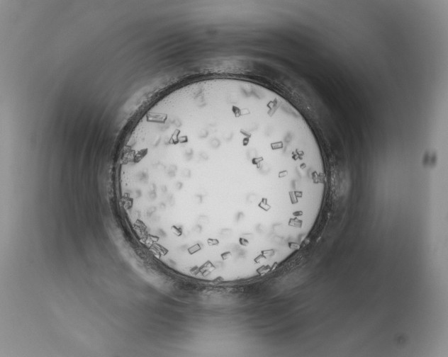 X0000110900725200907161550