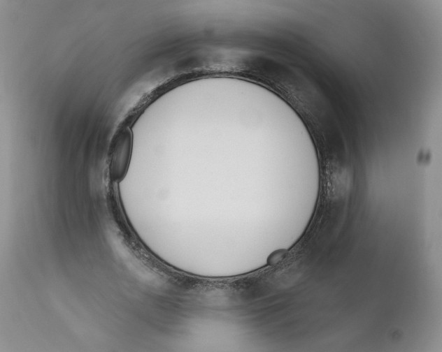 X0000110900726200907161550