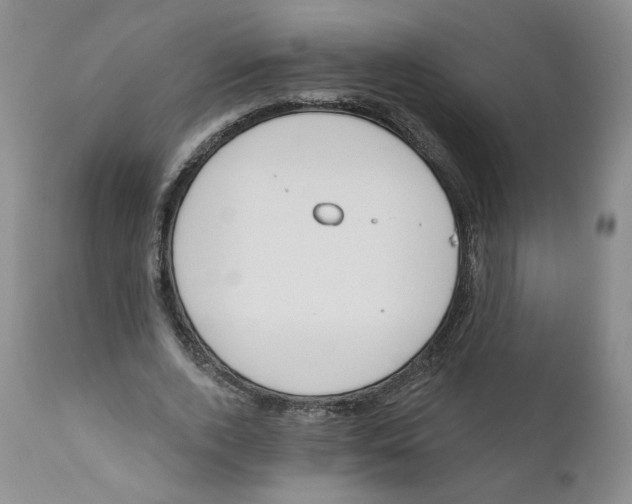 X0000110900728200907161550