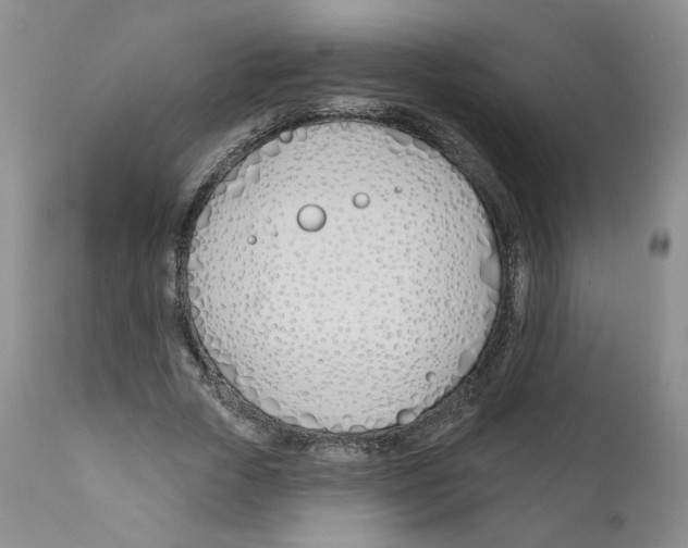 X0000110900729200907161550