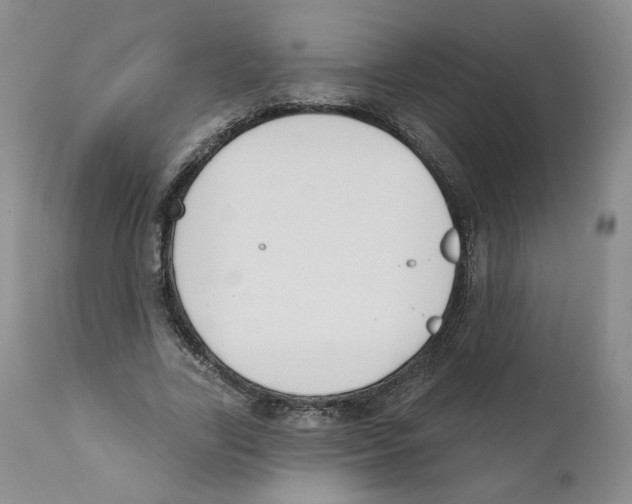 X0000110900731200907161550