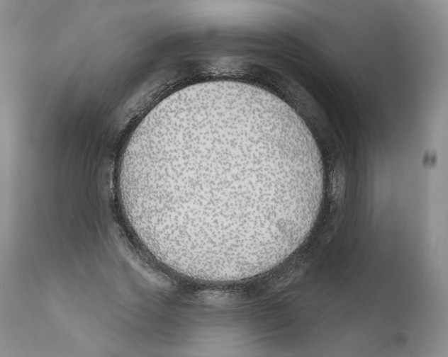 X0000110900733200907161550