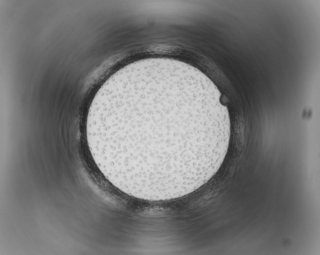 X0000110900734200907161550