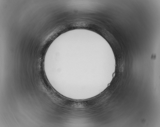 X0000110900735200907161550