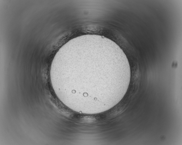 X0000110900749200907161551