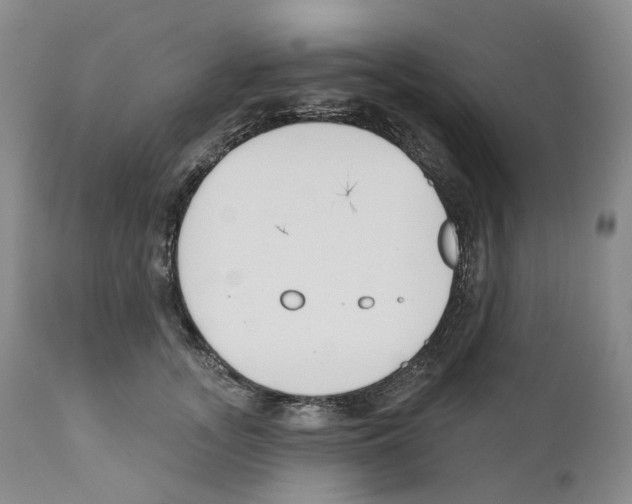 X0000110900755200907161551