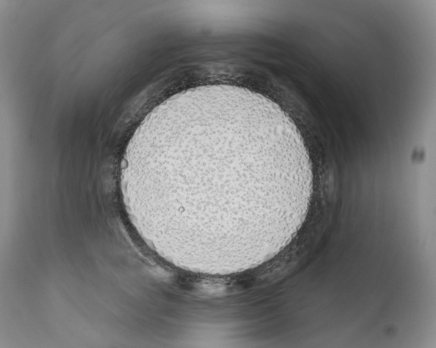 X0000110900757200907161551