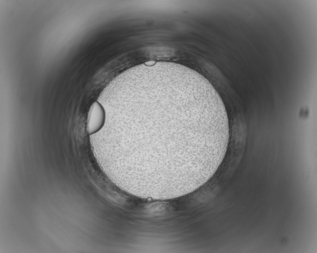 X0000110900761200907161551