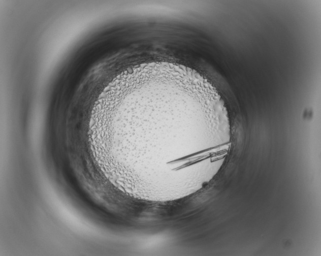 X0000110900765200907161551