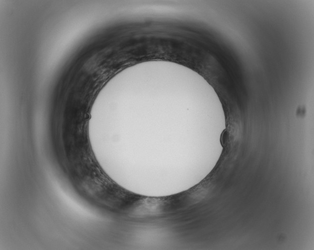 X0000110900766200907161551