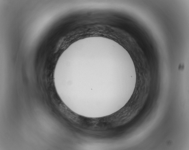 X0000110900767200907161551