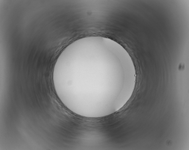 X0000110900768200907161551