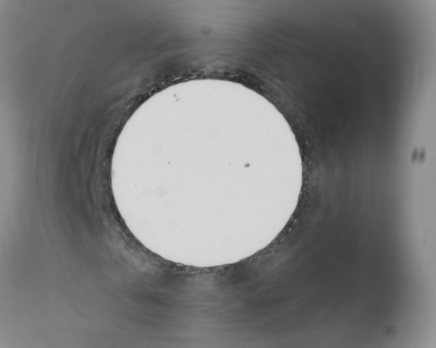 X0000110900769200907161550