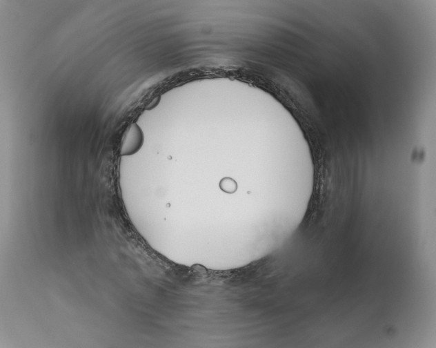 X0000110900773200907161550