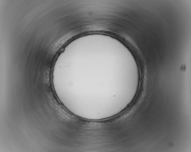 X0000110900777200907161550