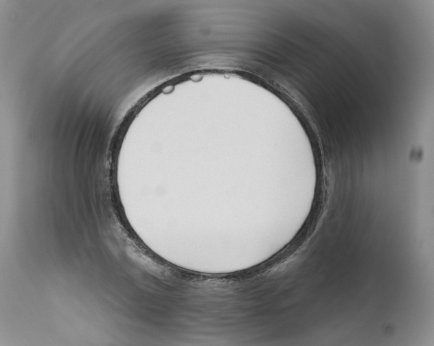 X0000110900779200907161550