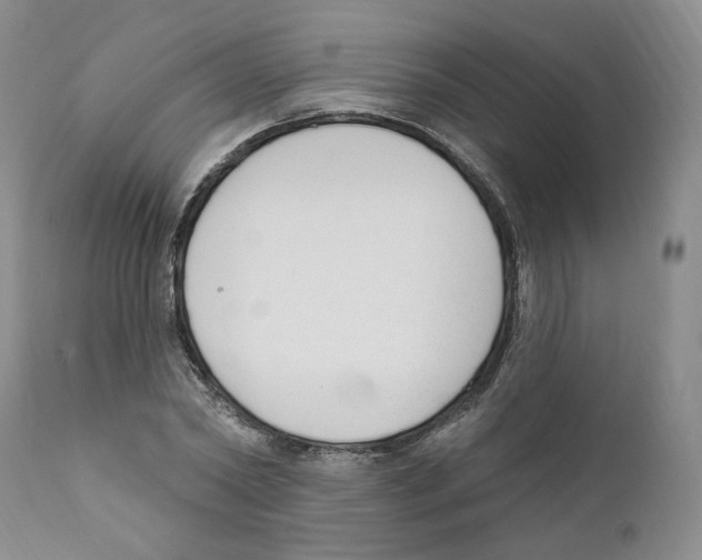 X0000110900782200907161550