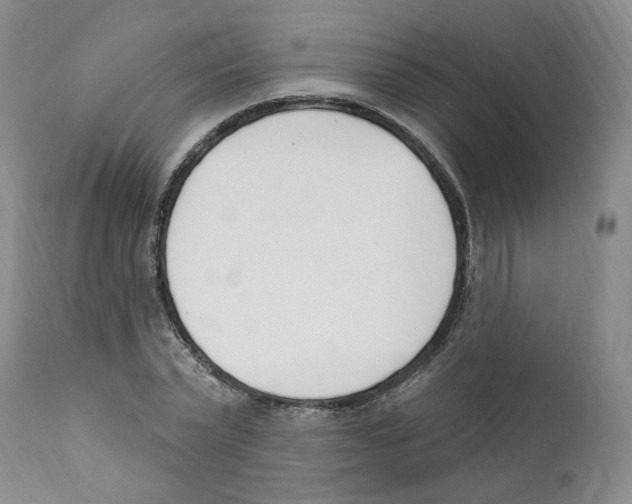 X0000110900783200907161550