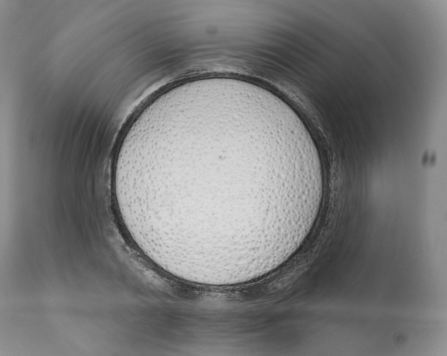 X0000110900790200907161550