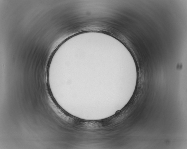 X0000110900795200907161550