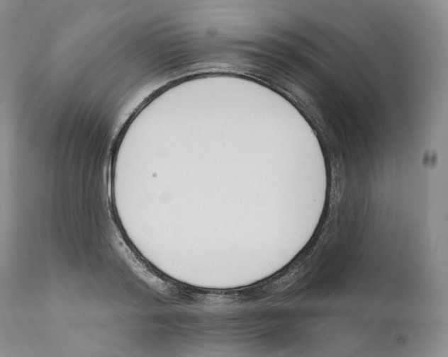 X0000110900796200907161550