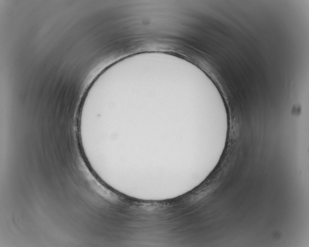 X0000110900803200907161550