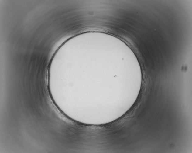 X0000110900804200907161550