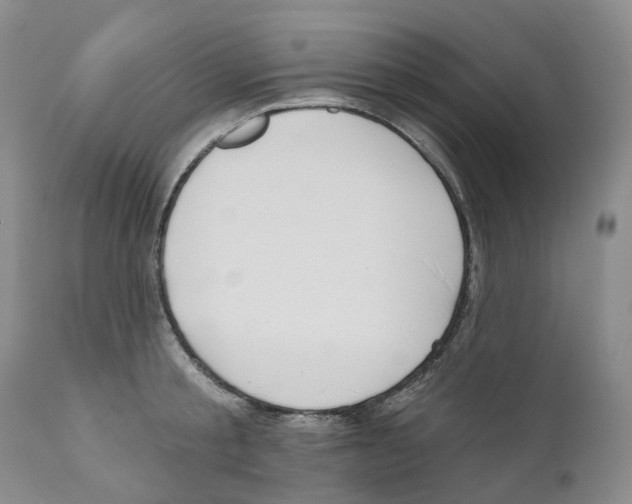 X0000110900805200907161550