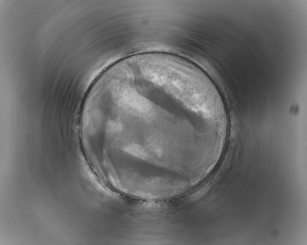 X0000110900806200907161550