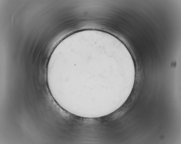 X0000110900807200907161550