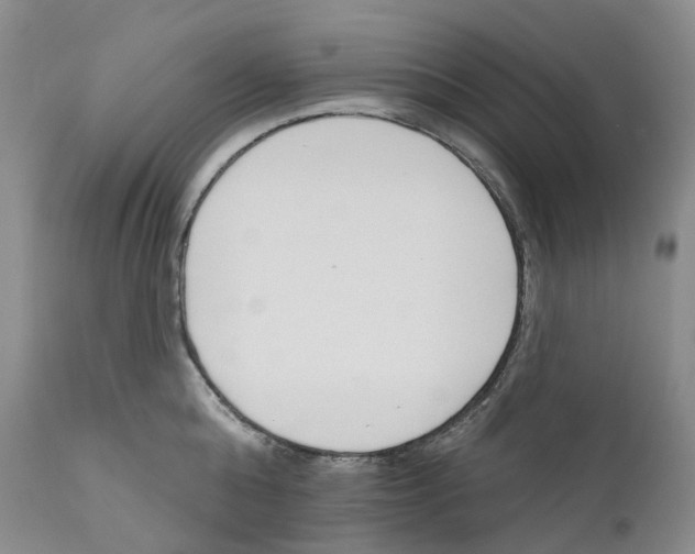 X0000110900808200907161550