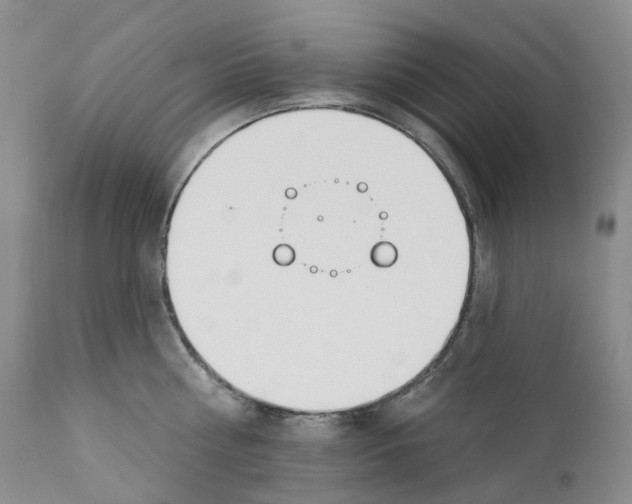 X0000110900810200907161550