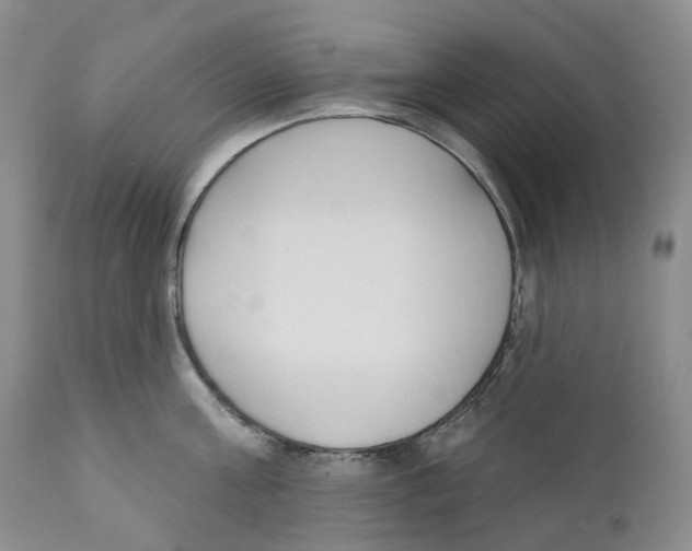 X0000110900811200907161550