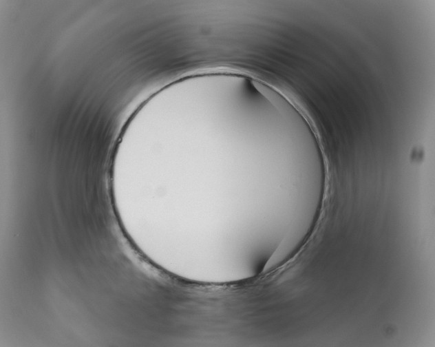 X0000110900813200907161550