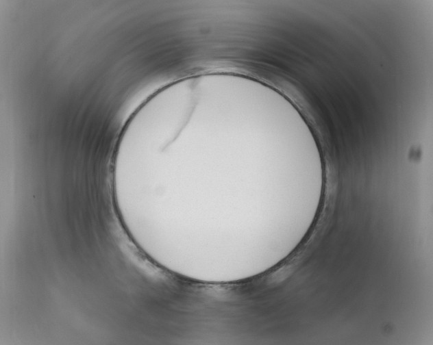 X0000110900814200907161550