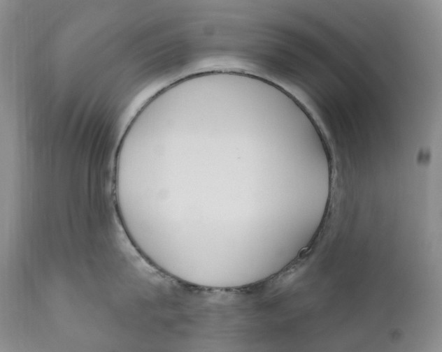 X0000110900815200907161549