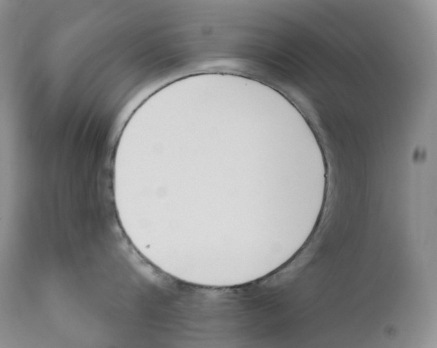 X0000110900816200907161549