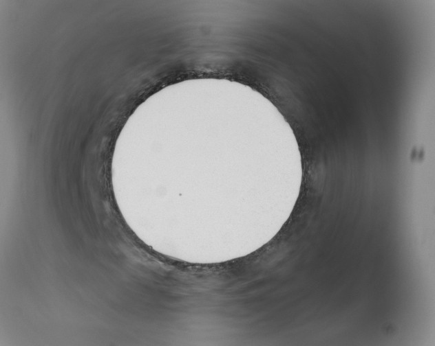 X0000110900817200907161549