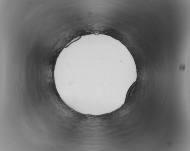 X0000110900818200907161549