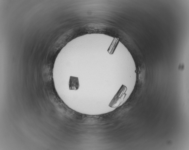 X0000110900819200907161549