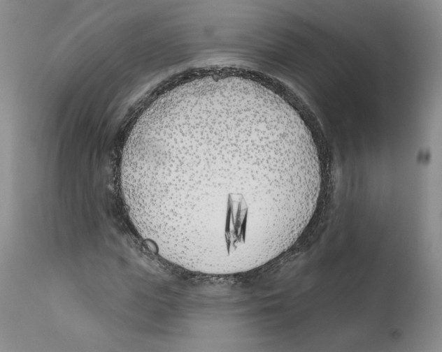 X0000110900823200907161549