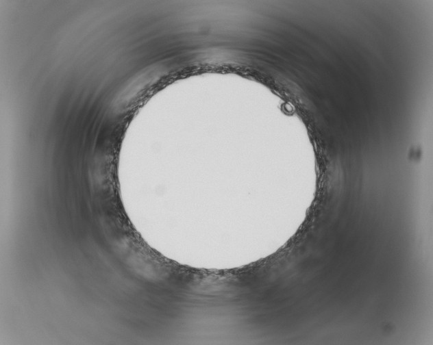 X0000110900824200907161549