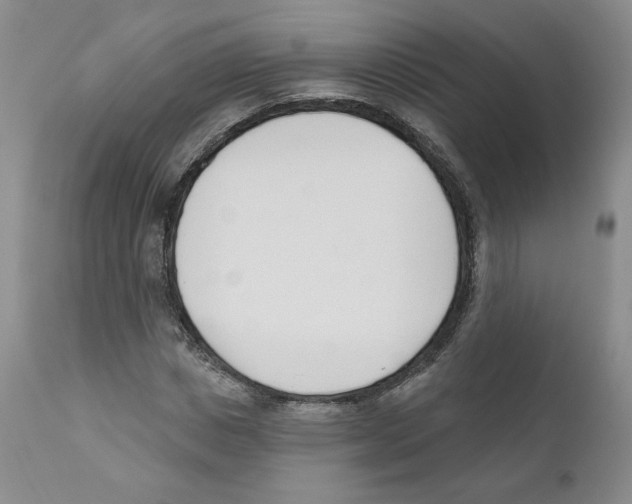 X0000110900825200907161549