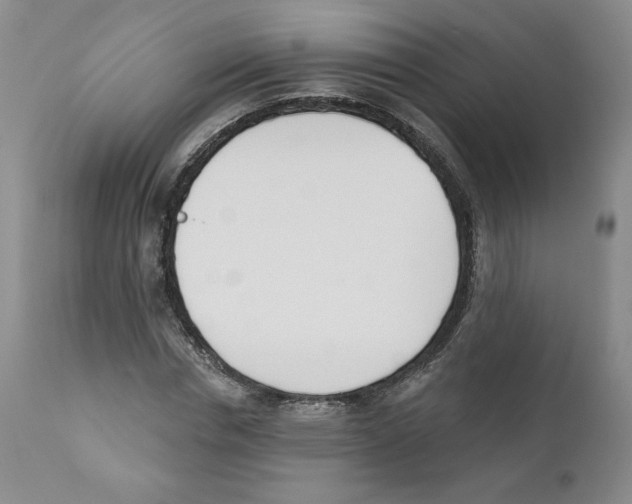 X0000110900826200907161549