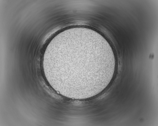 X0000110900827200907161549