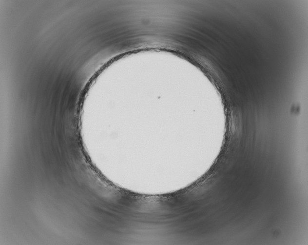 X0000110900828200907161549