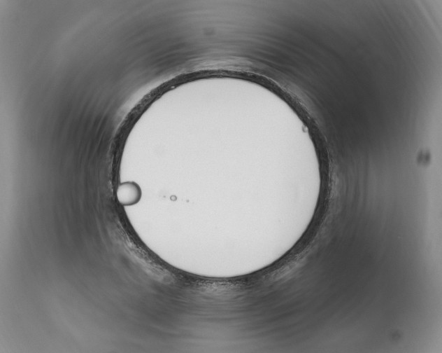 X0000110900830200907161549