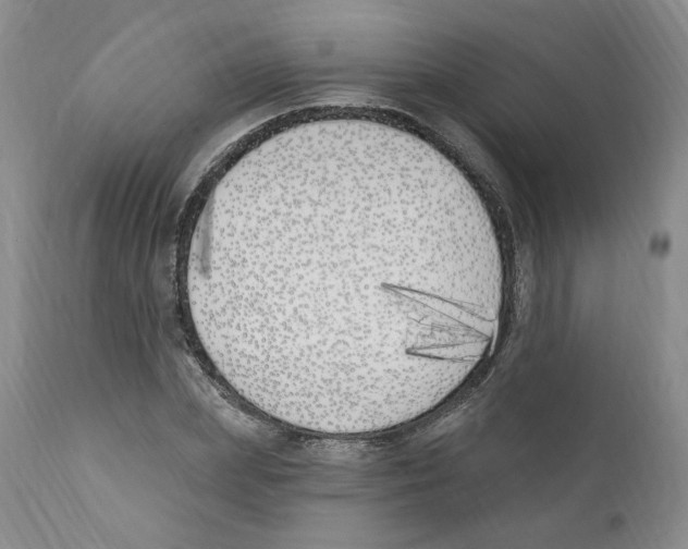 X0000110900831200907161549