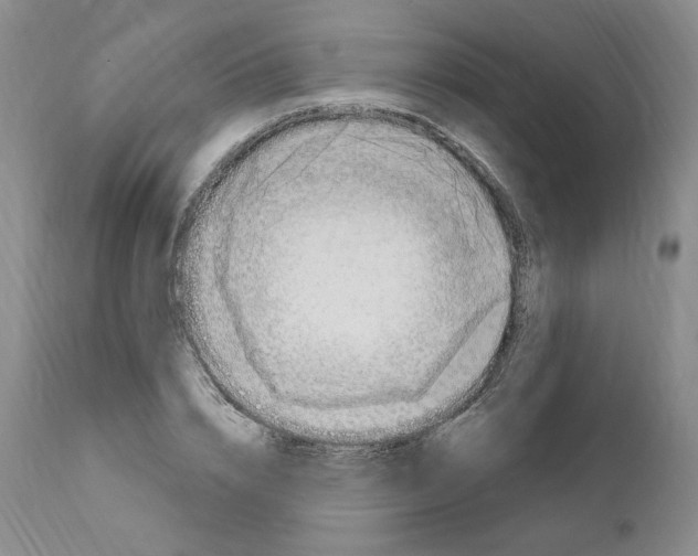 X0000110900832200907161549